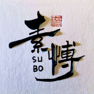 初色cs11下载安装官网最新版