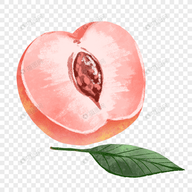 WWW,359se·COM网站APPAPP应用